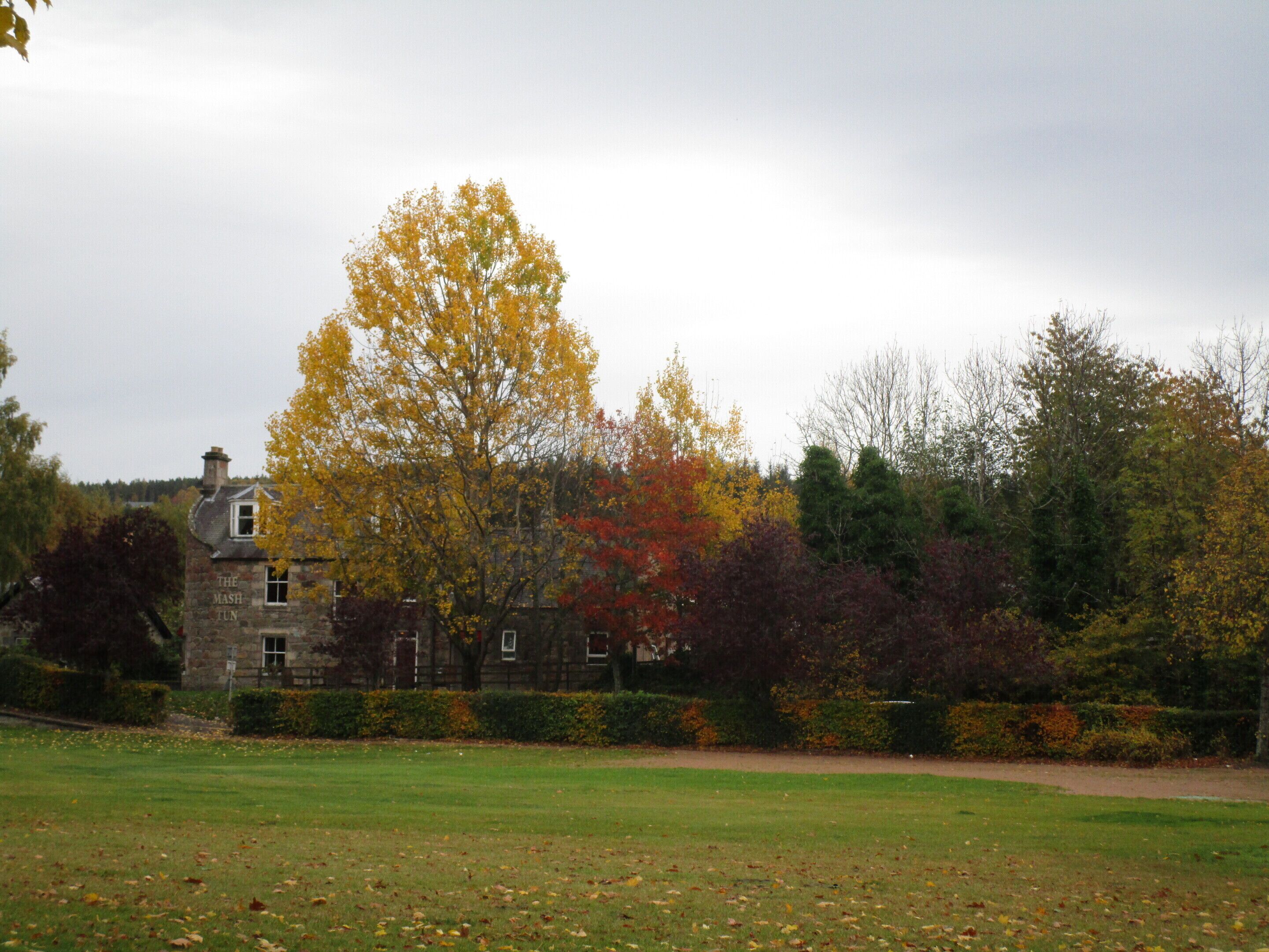 A stone building with a sign reading "The Mash Lun" in a park with autumn-colored trees and a grassy field.
