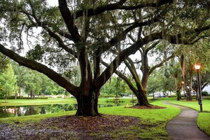 Property grounds - DISNEY'S DOORSTEP!!! < 5 miles to parks. 3BDRs ⭐️ (Kissimmee)