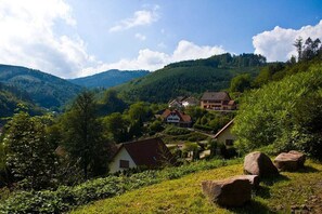 Property grounds - Maison Rurale En Bordure De Forêt (Schirmeck)