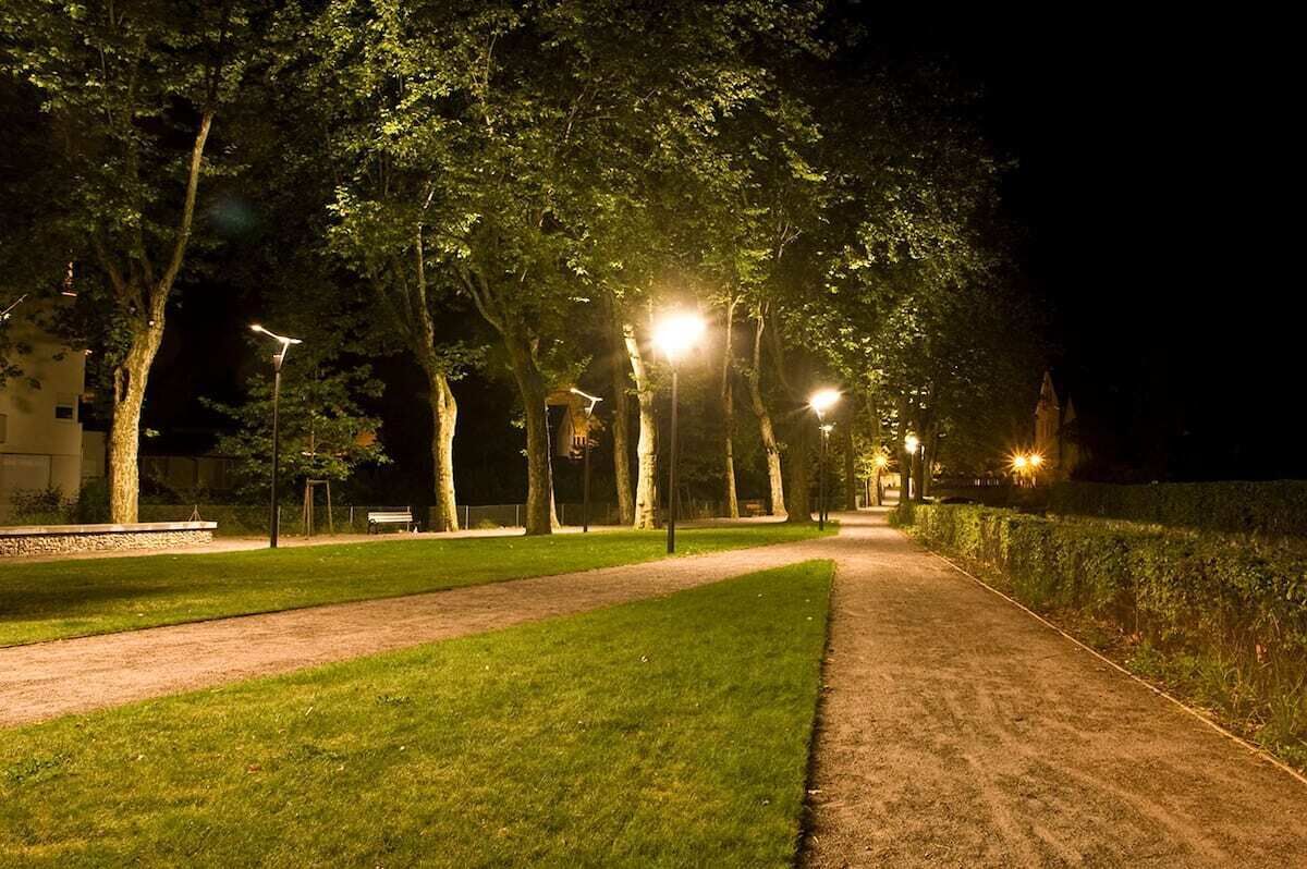 Un sentier bordé d’arbres et éclairé par des lampadaires, dans un parc, la nuit.