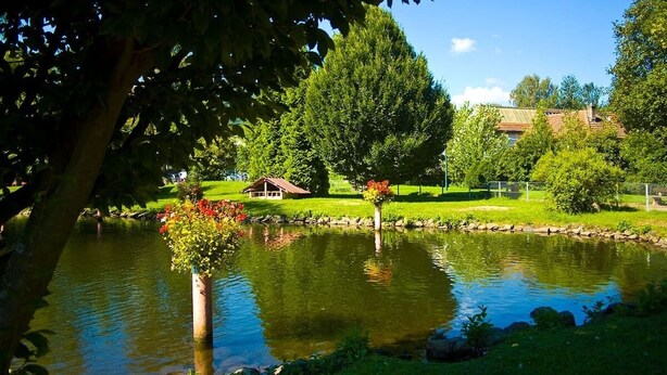 A serene pond with a small house and trees in the background. - Maison Rurale En Bordure De Forêt (Schirmeck)