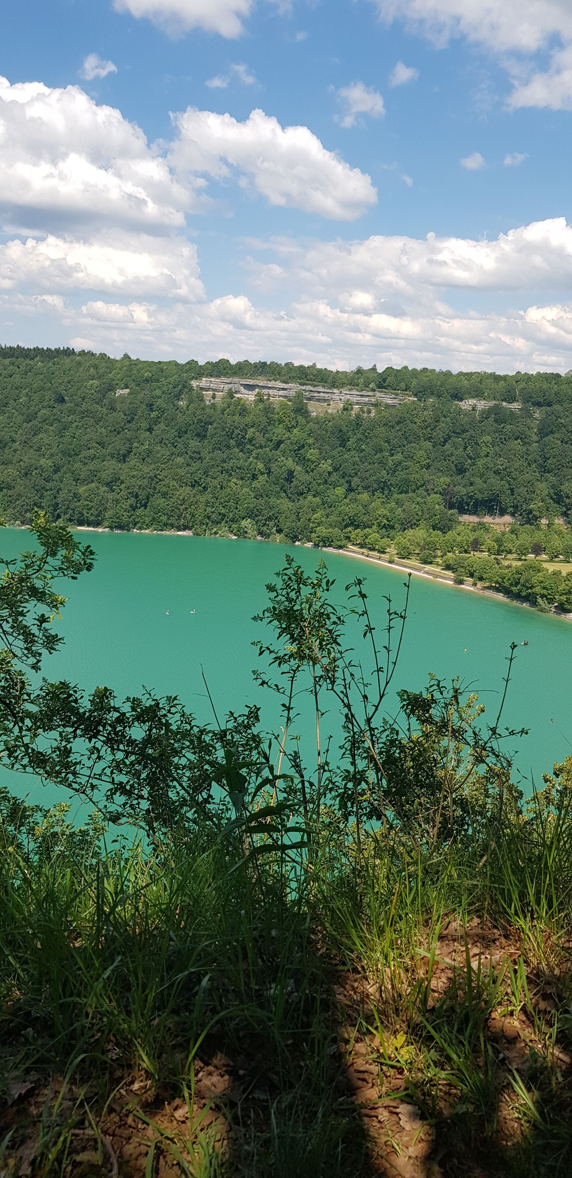 A view of a lake surrounded by dense forest and a distant building complex.