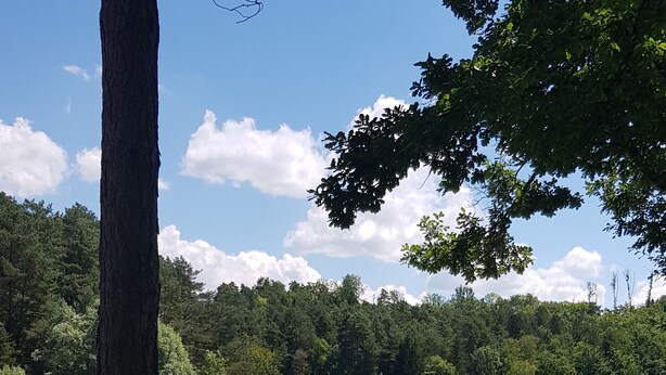 Een natuurlijk landschap met een meer, bomen en een tent.
