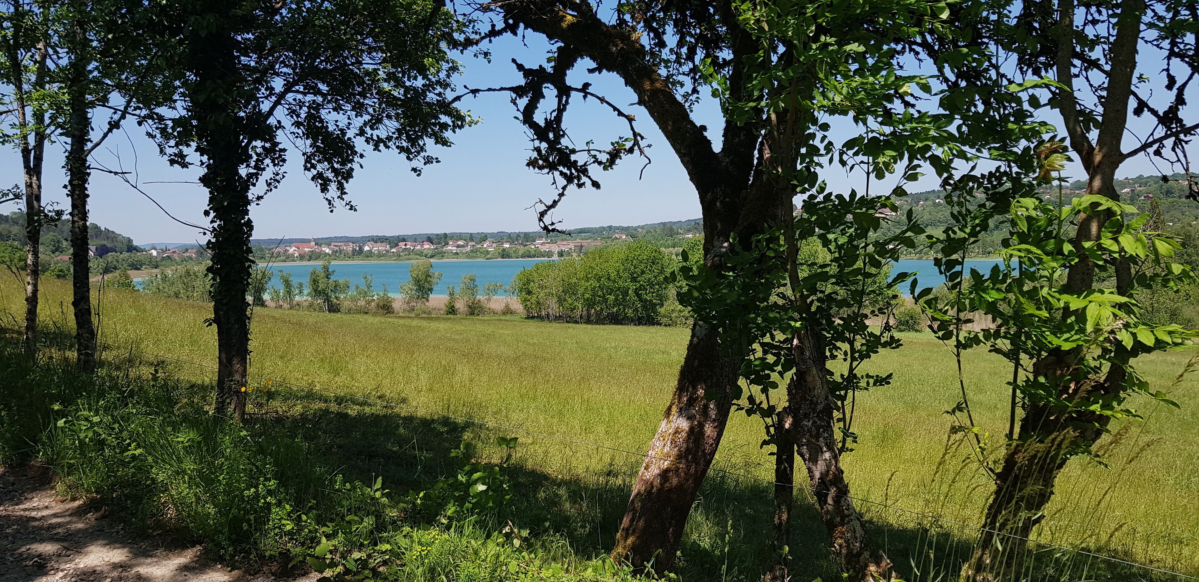 Eine ländliche Landschaft mit klarem Blick auf einen See, umgeben von Bäumen und einem Feld.