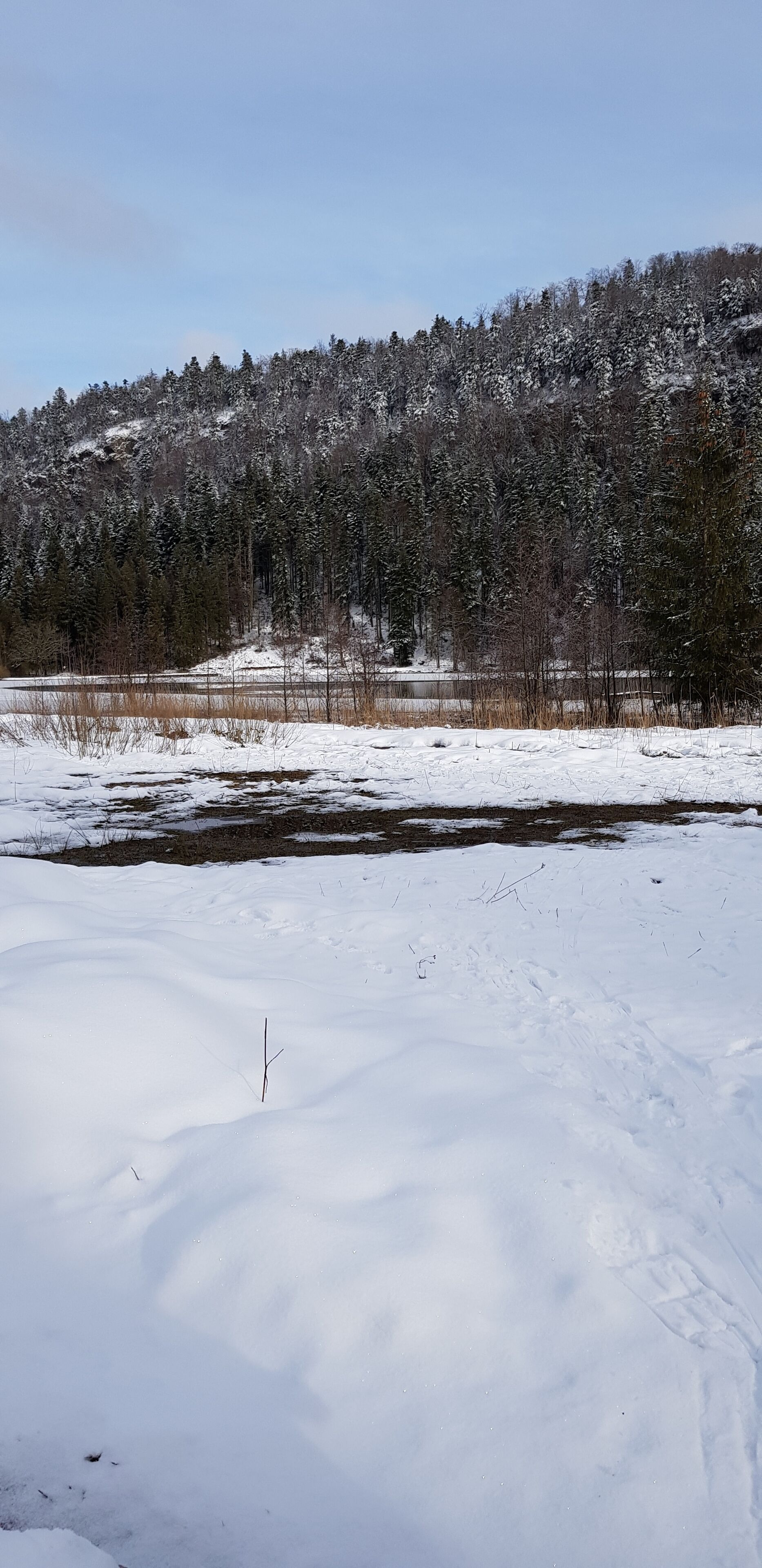 A snowy landscape with a clear sky, a frozen river, and a forested hill in the background.