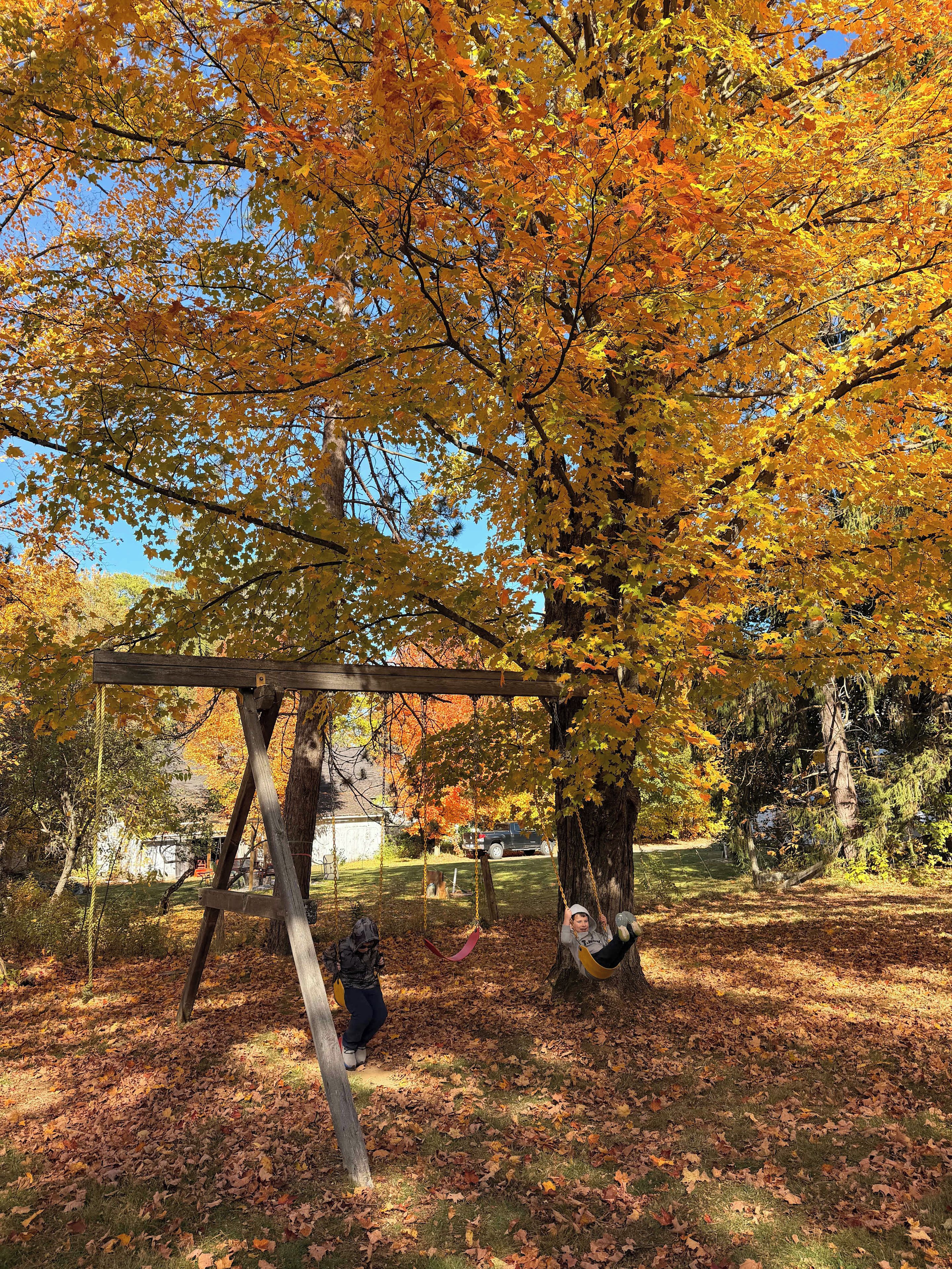 Ein hölzernes Schaukelgestell in einem Park, umgeben von Herbstlaub.