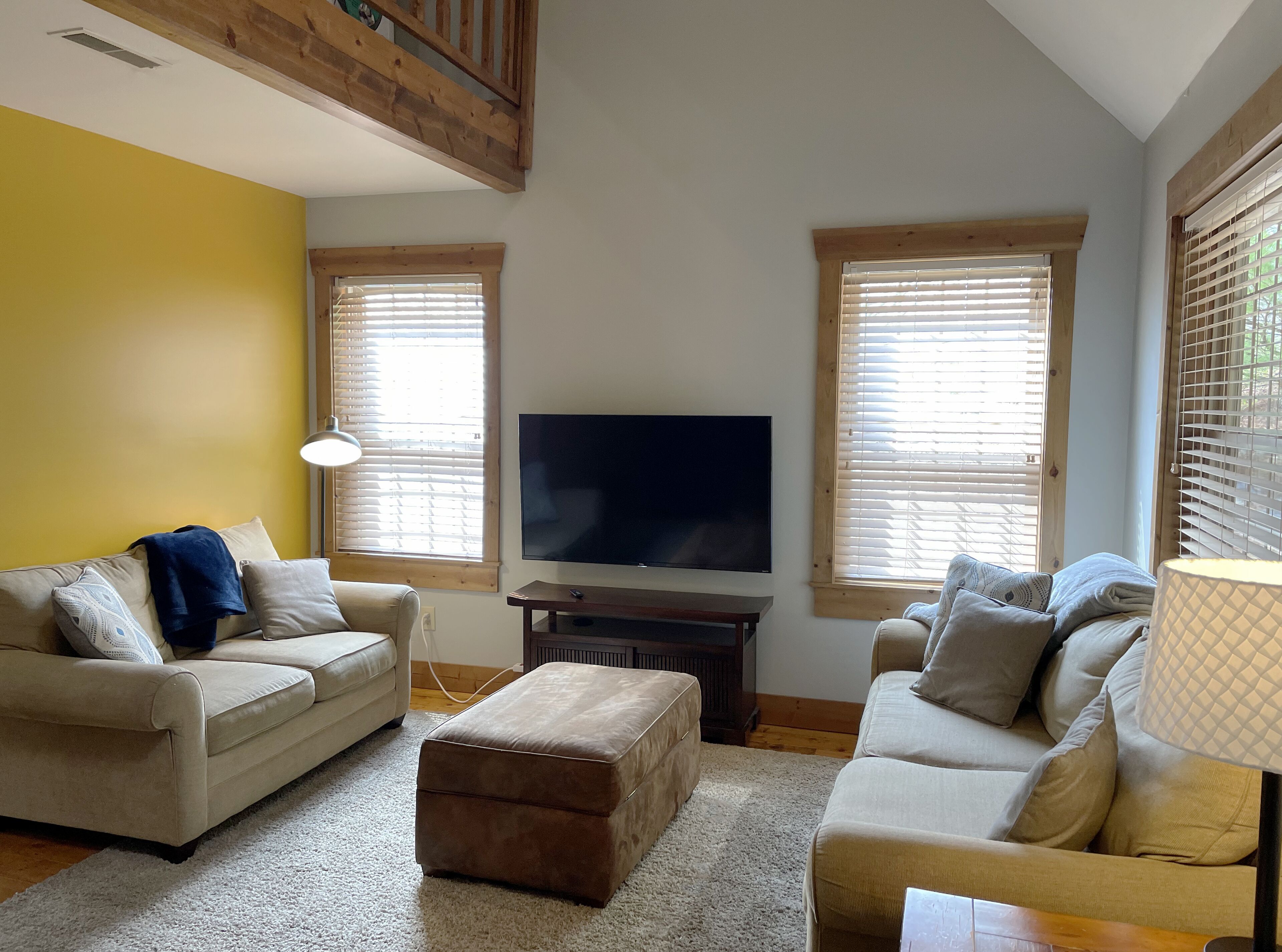 TV, DVD player, books, video library