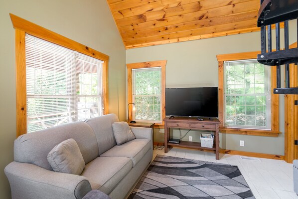 TV, DVD player, books, video library