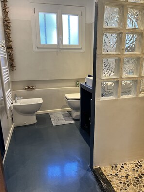 Shower, hair dryer, bidet, towels - Villa Ottaviani, spectacular ocean views, steps from the beach, spa and  pool (Roquebrune-sur-Argens)