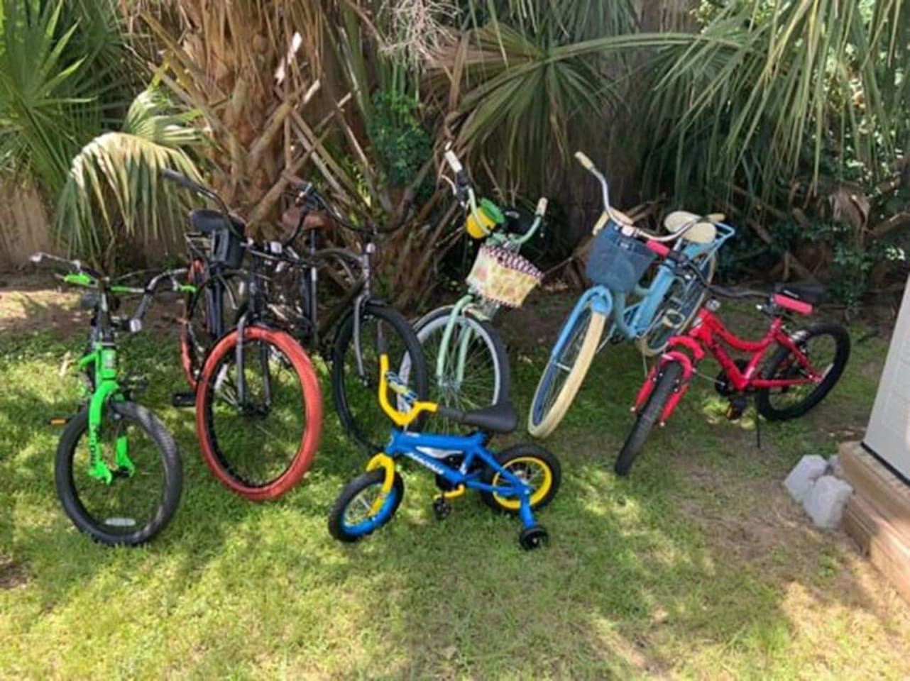 Fila di biciclette parcheggiate su un prato, con una palma sullo sfondo.