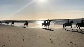 Vlak bij het strand, ligstoelen aan het strand