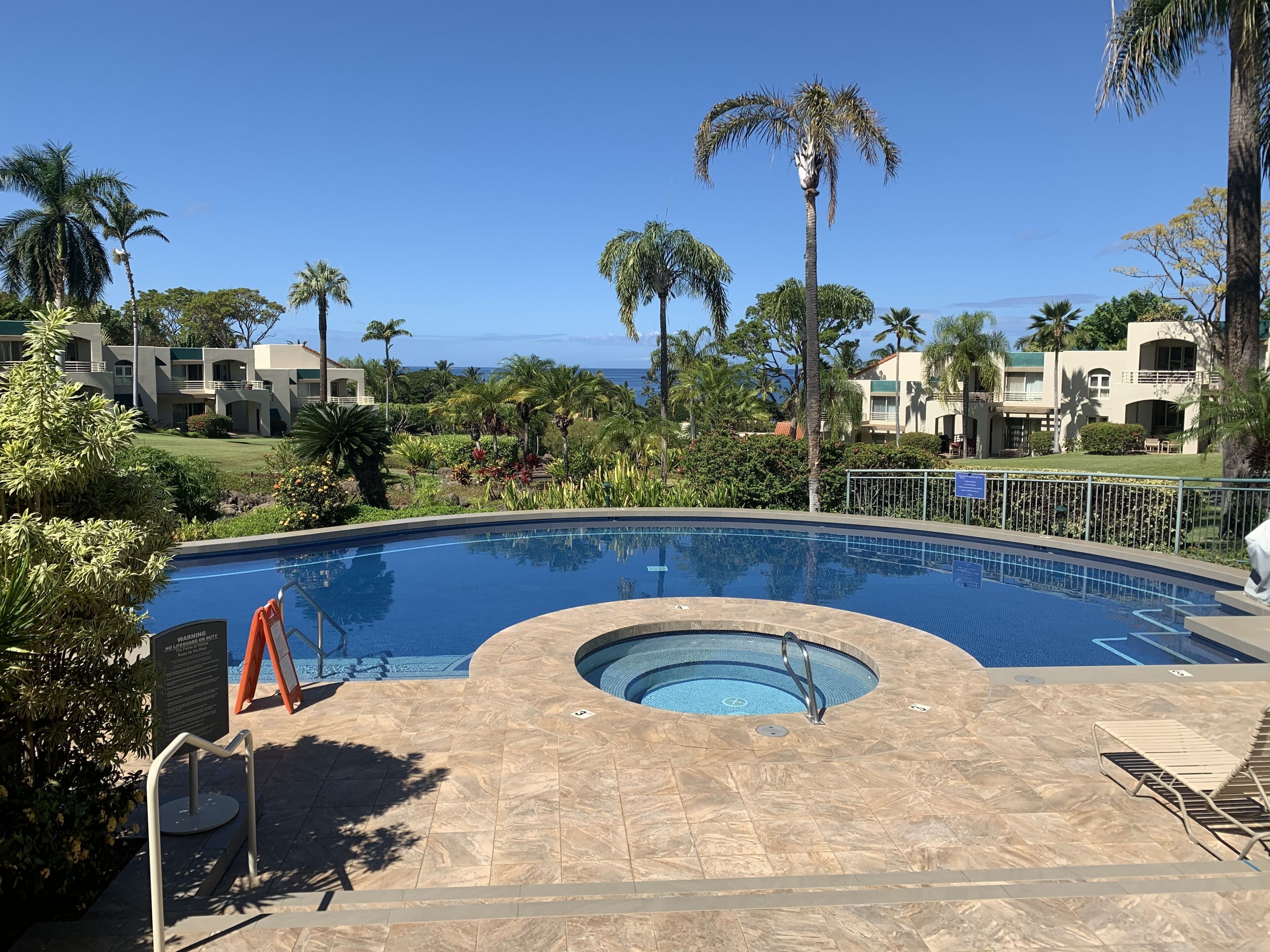 Una piscina de diseño curvo, rodeada de palmeras y vista al océano.