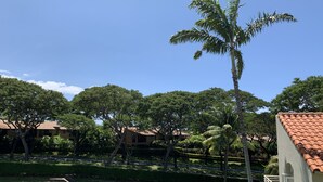 A well-maintained lawn with a palm tree, surrounded by mature trees and a building with a tiled roof. - Beautiful - Palms at Wailea 1802 (Kihei)