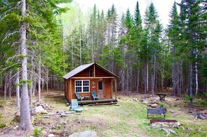 Exterior - Homestead North - Spacious Home on Snowmobile Trails with Panoramic Views (Dallas Plantation)