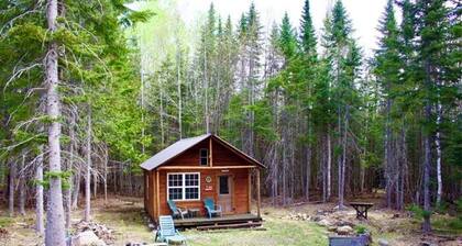 Homestead North - Spacious Home on Snowmobile Trails with Panoramic Views
