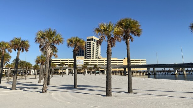 Zona de playa con palmeras y un gran edificio de hotel al fondo.