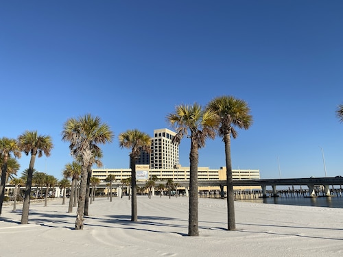 Walk to Government St! 6 guests, pet and family friendly, close to the beach!