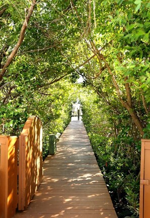 A wooden pathway leading through a lush, green area with trees and foliage on both sides.