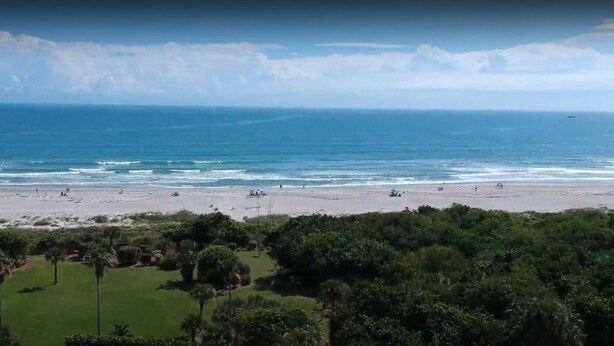 Una spiaggia con cieli sereni e acque calme, circondata dal verde.