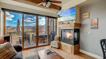 Flat-screen TV, fireplace, books