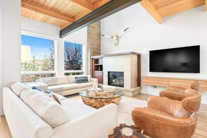 TV, caminetto, lettore DVD, libri