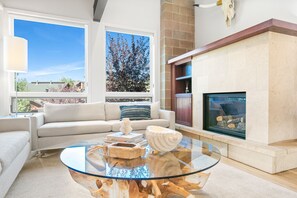 Televisión, chimenea, reproductor de DVD y libros