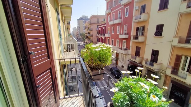 Un balcon donnant sur les bâtiments voisins, une plante en pot et un scooter garé.