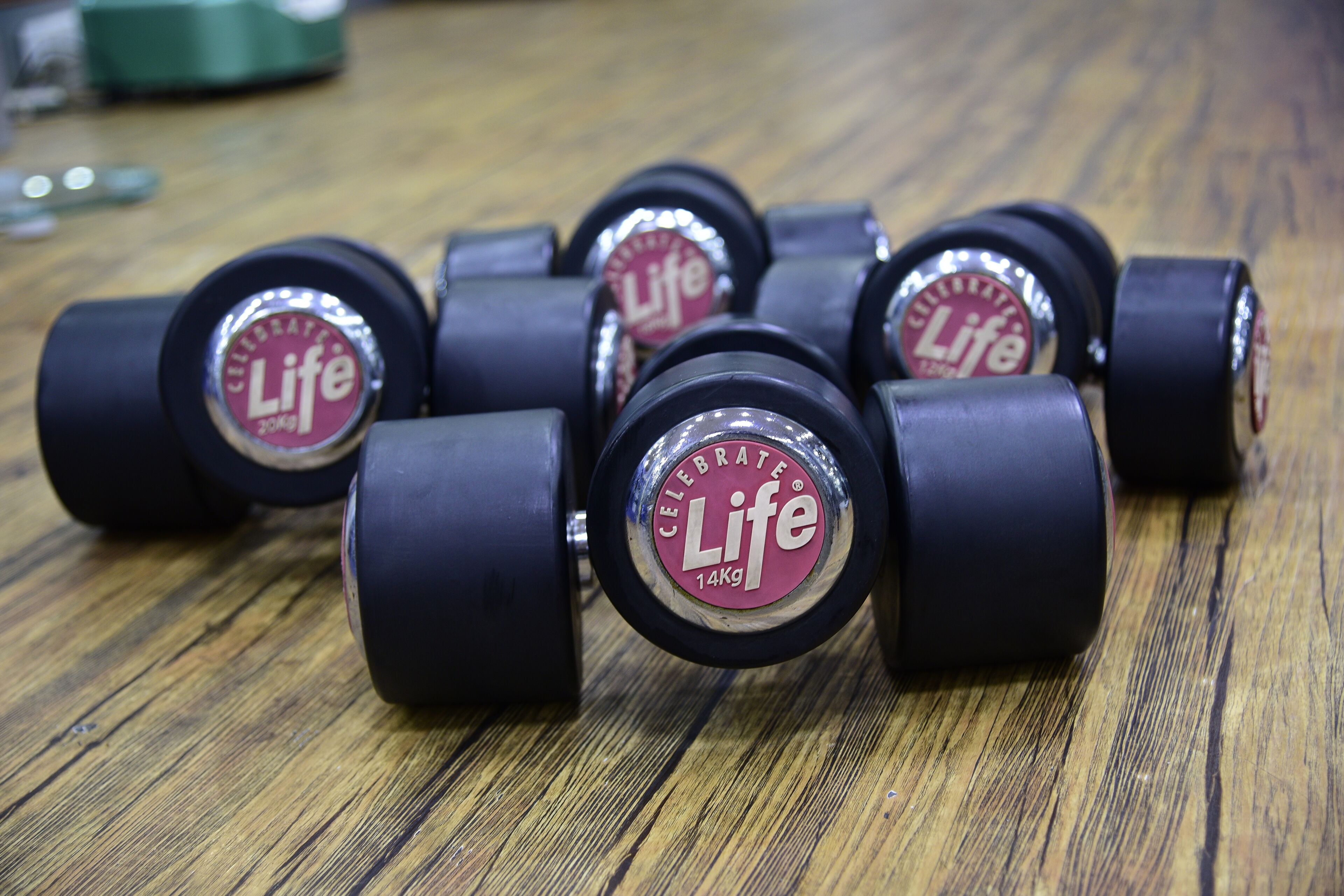 Une paire d’haltères noirs, portant la marque « Life » et l’inscription « Celebrate Life », posée sur une surface en bois.