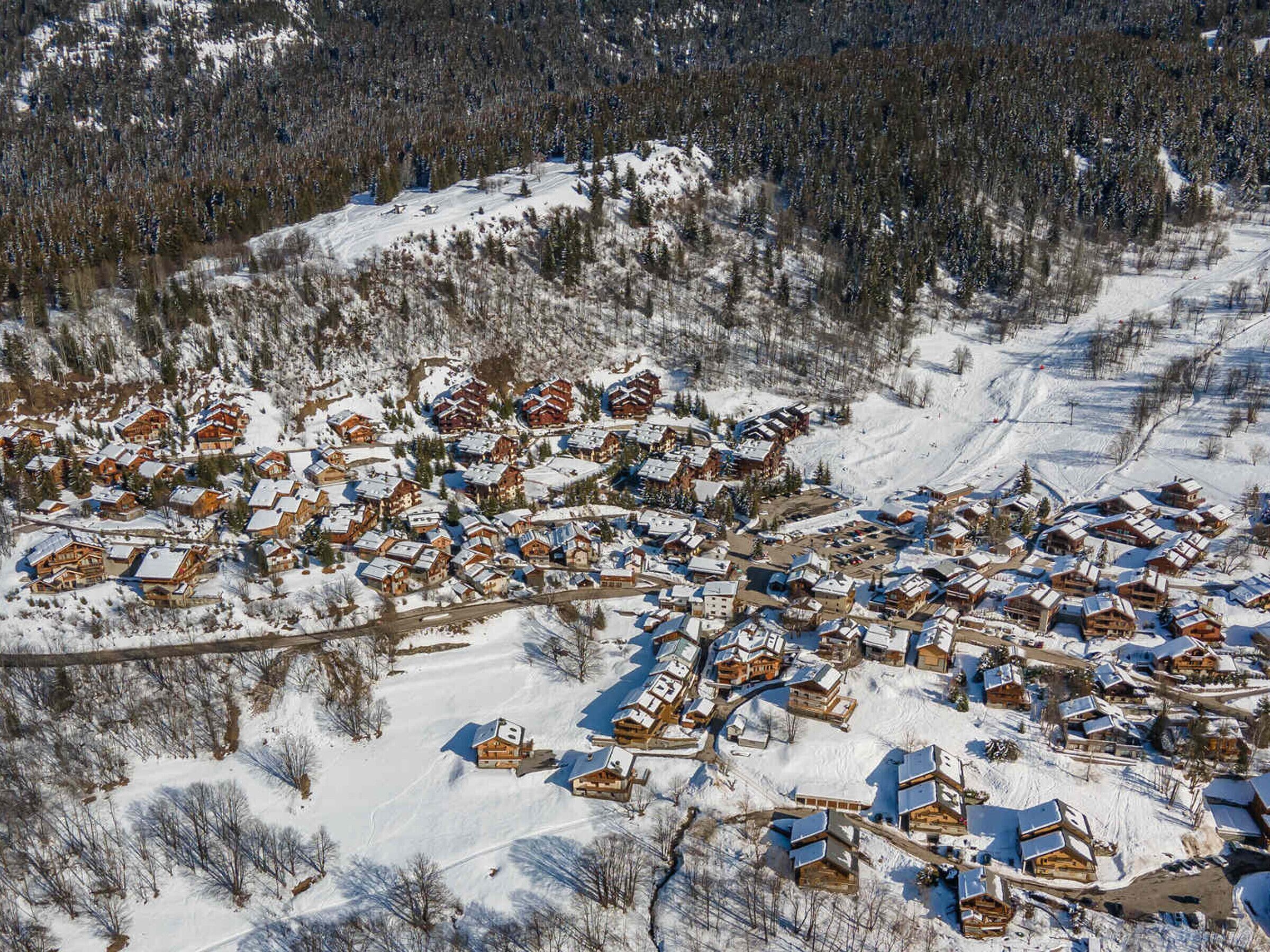 A snow-covered village with wooden houses clustered together, surrounded by forested hills.