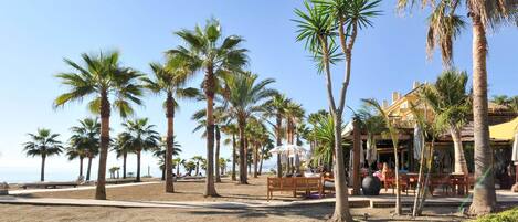 Zona de playa con palmeras, un banco y asientos al aire libre.