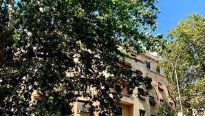 A multi-story building with balconies, surrounded by trees. - 4VaticanRooms (Rome)