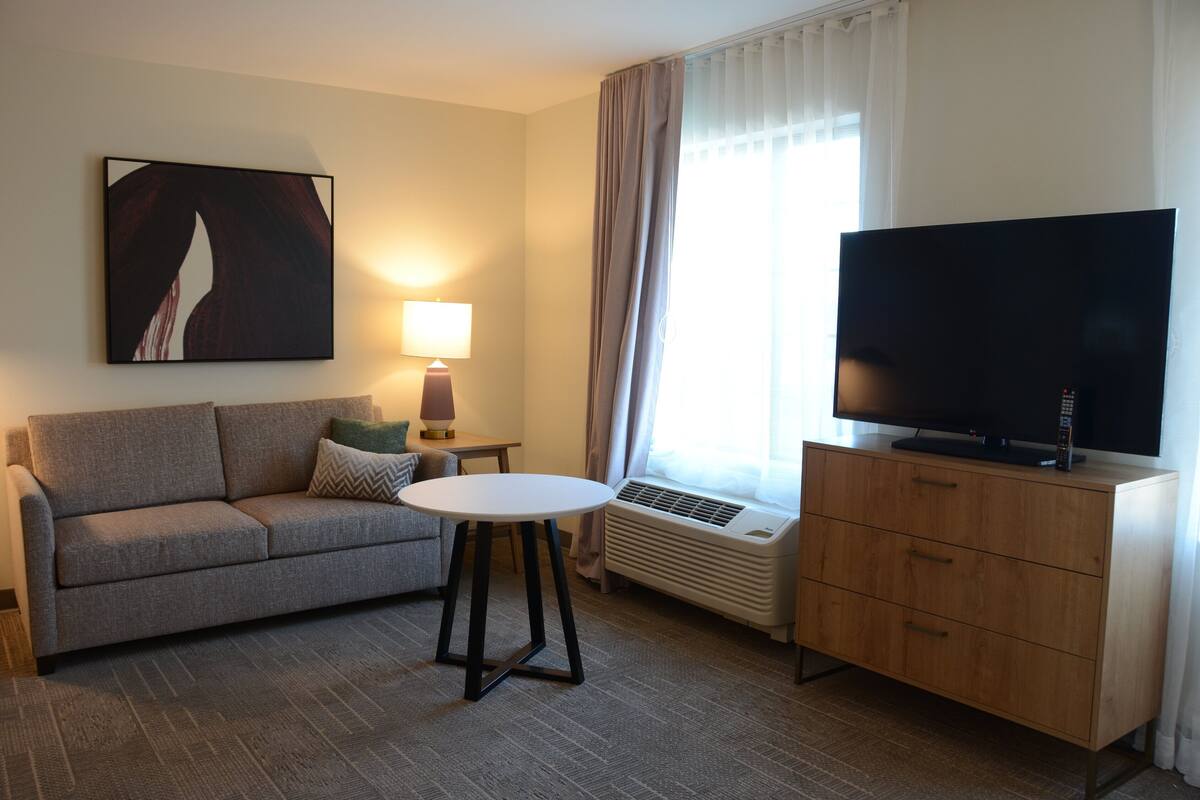 Una habitación de hotel moderna con sofá, una mesita, televisor de pantalla plana, calefacción y ventana con cortinas.