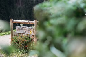A wooden signpost with text, surrounded by greenery and flowers.