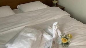 Desk, laptop workspace, WiFi (free), bed sheets - Hotel Goldene Rose (Ebersbach an der Fils)