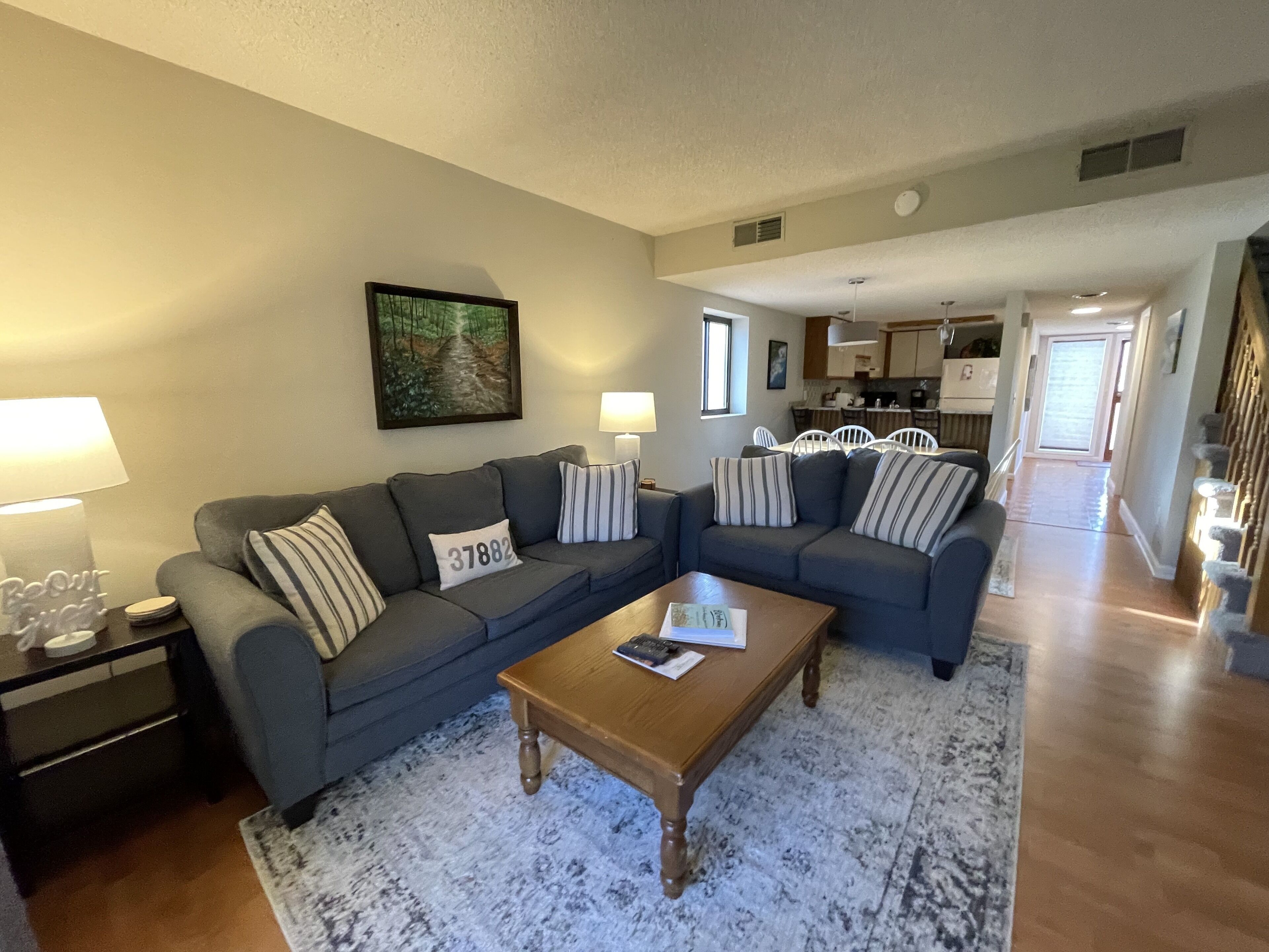 Smart TV, DVD player, books, video library