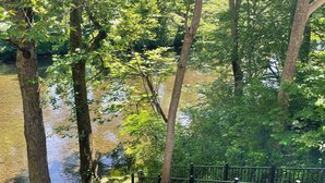 Ein Fluss mit Bäumen und einem Metallzaun.