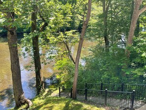 A river with trees and a metal fence.