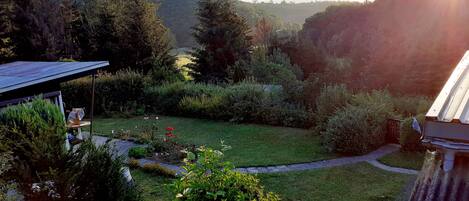A garden with a lawn, a pathway, and a variety of plants and trees.