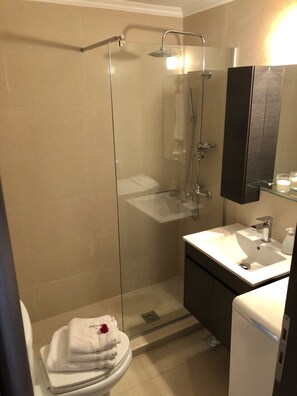 Shower, hair dryer, towels, soap