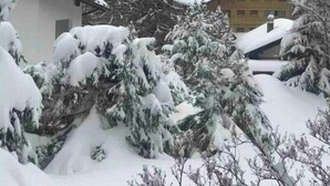 Un barrio residencial cubierto de nieve, con casas y árboles nevados.