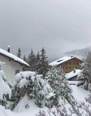 Terrain de l’hébergement 