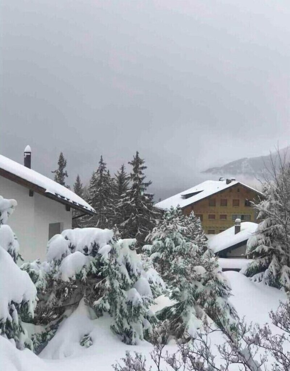 Un barrio residencial cubierto de nieve, con casas y árboles nevados.