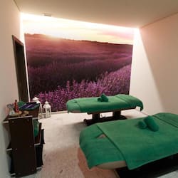 Couples treatment room(s), body treatments, body wraps, body scrubs