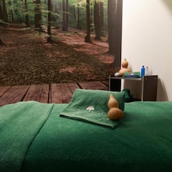 Couples treatment room(s), body treatments, body wraps, body scrubs