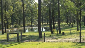Un parque con un estanque, árboles y una zona delimitada por una cerca.