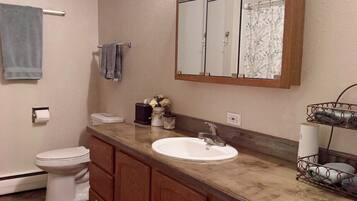 Combined shower/tub, hair dryer