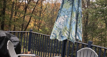 The BEST Pet friendly Sylva NC Mountain Retreat Near WCU and downtown❤️