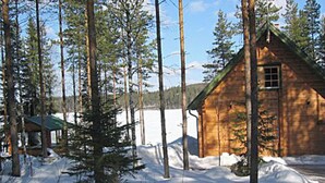 A wooden cabin surrounded by tall pine trees and snow-covered ground. - Honkatupa by Interhome (Ruovesi)