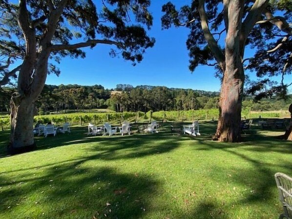 المنطقة المحيطة بالمنشأة