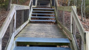 A wooden staircase leading up a forested area.